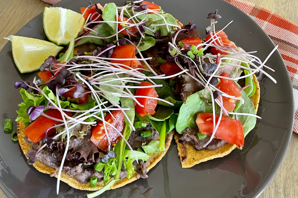 Black Bean Tostadas – Dr. Nuzum's Nutraceuticals