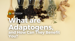 What Are Adaptogens and How Can They Benefit You?