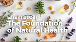 Essential Oils: A Foundational Piece Of Your Natural Healing Regimen