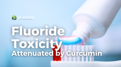 Fluoride Toxicity Attenuated by Curcumin