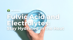 Fulvic Acid and Electrolytes to Stay Hydrated in the Heat