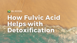 How Fulvic Acid Helps with Detoxification