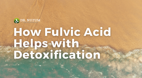 How Fulvic Acid Helps with Detoxification