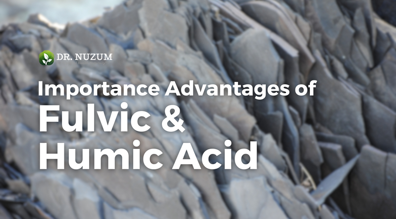 Important Advantages of Fulvic and Humic Acid