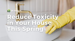 Reduce Toxicity in Your House This Spring