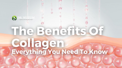 The Benefits Of Collagen - Everything You Need To Know