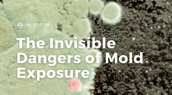 The Invisible Dangers of Mold Exposure