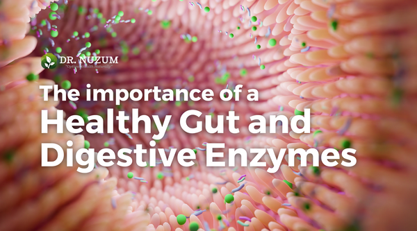 The Importance of a Healthy Gut and Digestive Enzymes