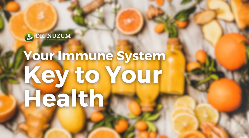 Your Immune System: Key to Your Health