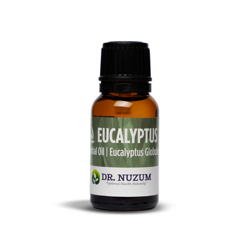 Eucalyptus (eucalyptus globulus)