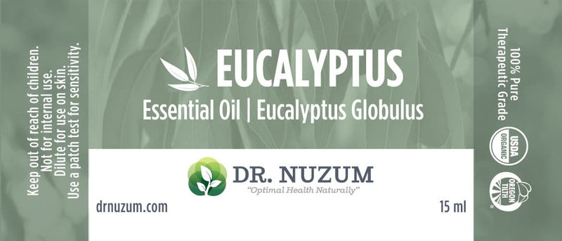 Eucalyptus (eucalyptus globulus)