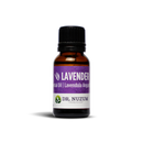 Lavender (lavandula angustifolia)